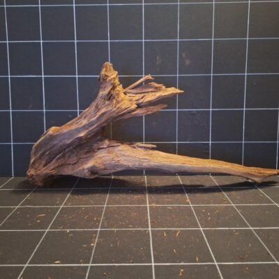 Tuskwood korzeń akwariowy z prawdziwego drewna bagiennego, 70 cm, P262618