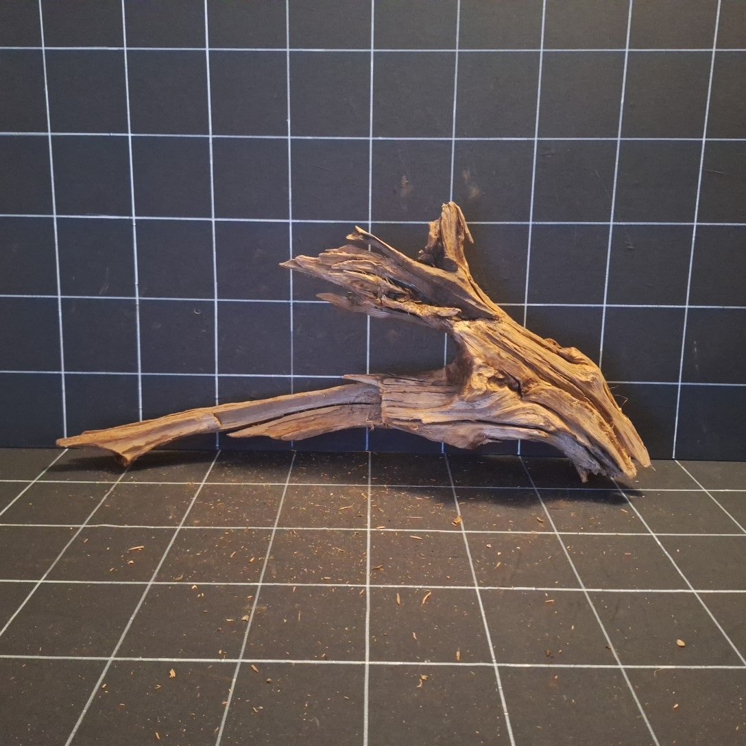Tuskwood korzeń akwariowy z prawdziwego drewna bagiennego, 70 cm, P262618