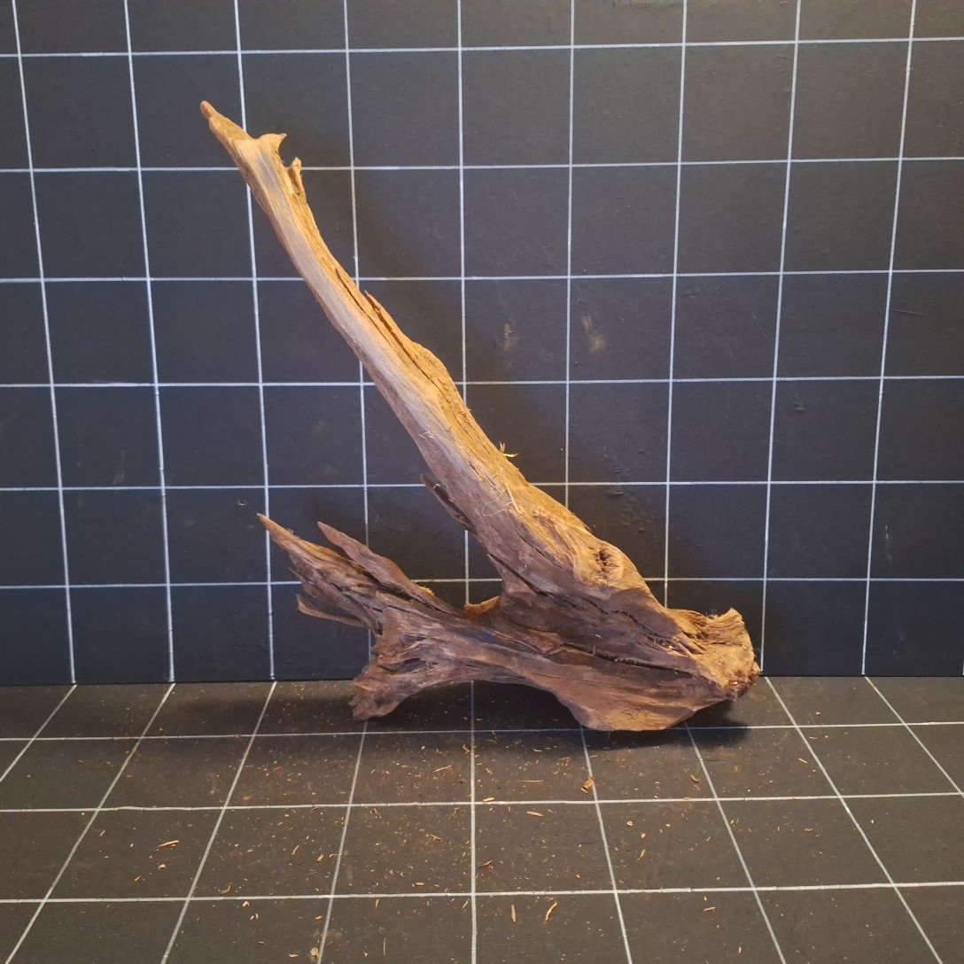 Tuskwood korzeń akwariowy z prawdziwego drewna bagiennego, 70 cm, P262618