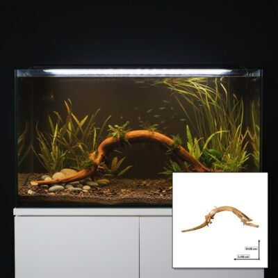 Tuskwood Akvarierot WYSIWYG Äkta Bogwood Unik 60 cm P262619