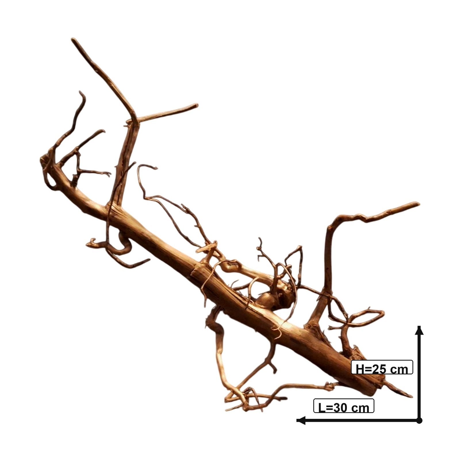 Tuskwood Akvarierot WYSIWYG Äkta Bogwood Unik 30 cm P262620 - Billede 3