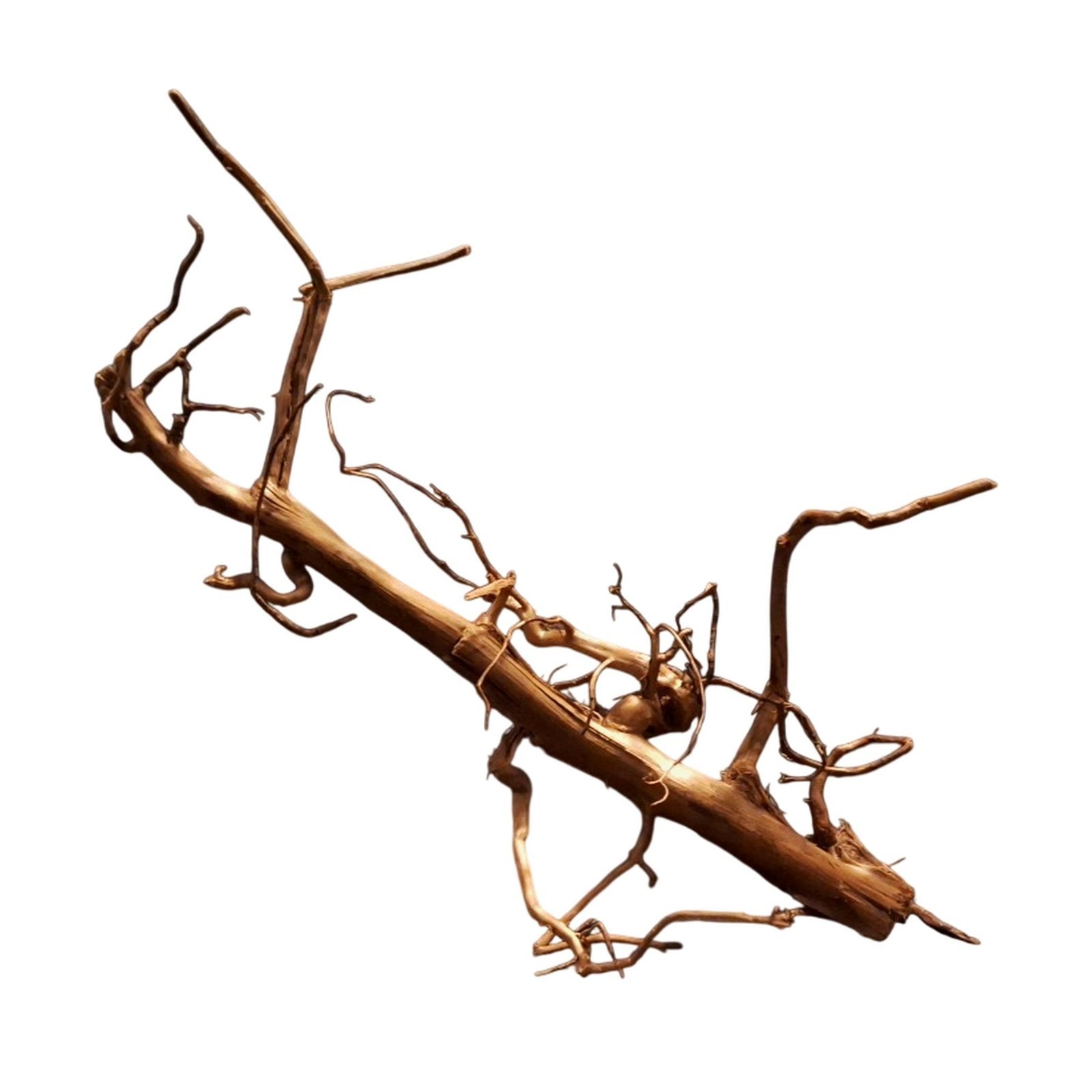 Tuskwood Akvarierot WYSIWYG Äkta Bogwood Unik 30 cm P262620 - Billede 6