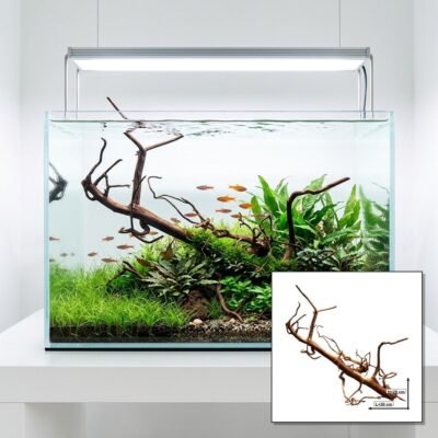 Tuskwood Aquarium Root WYSIWYG Genuine Bogwood Unique 30 cm P262620