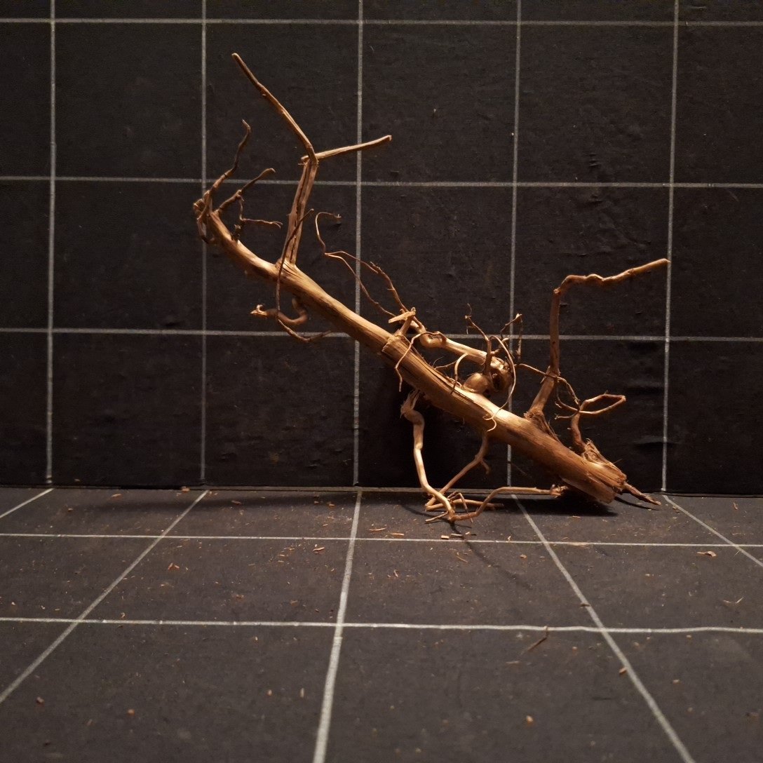 Tuskwood Akvarierot WYSIWYG Äkta Bogwood Unik 30 cm P262620 - Billede 4