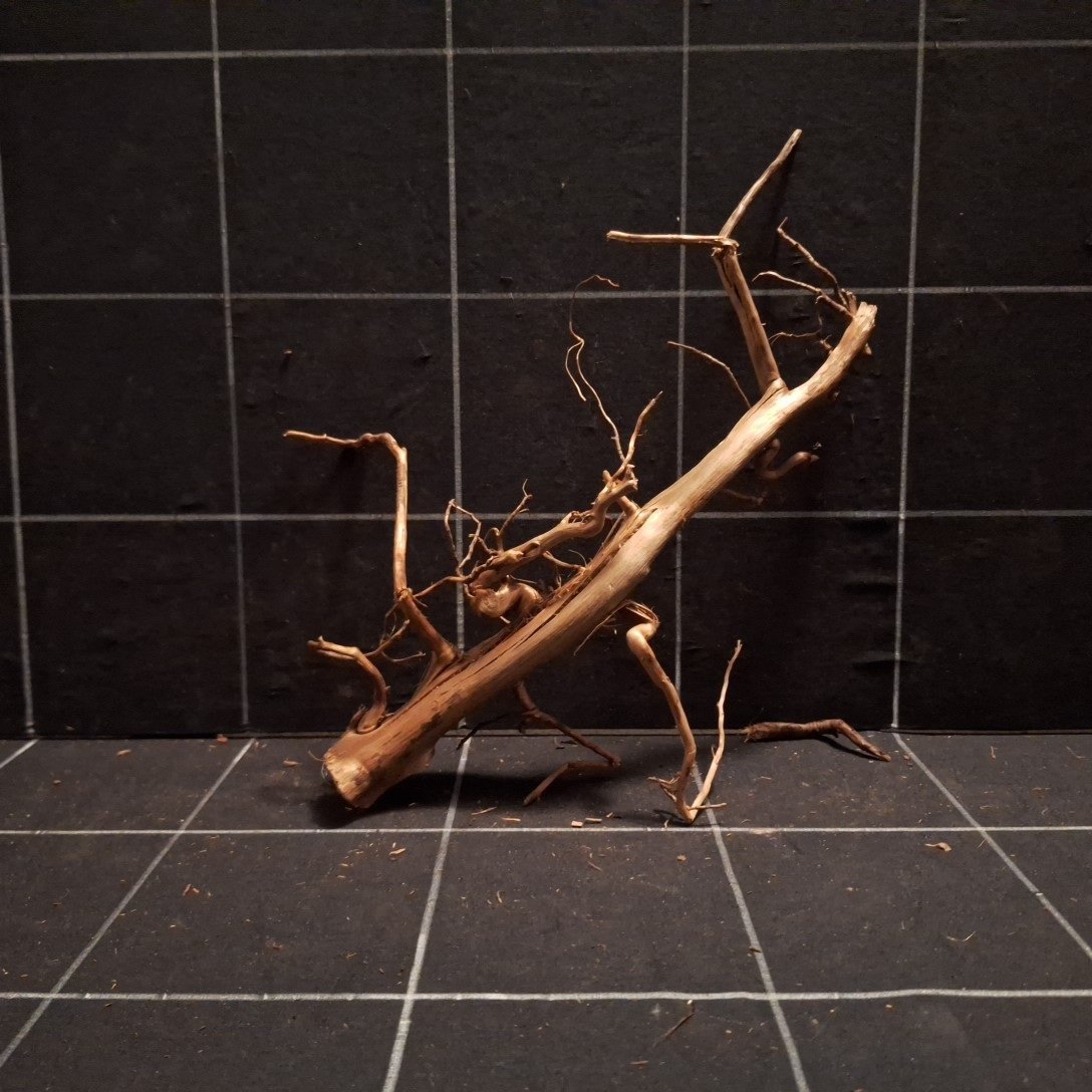 Tuskwood Akvarierot WYSIWYG Äkta Bogwood Unik 30 cm P262620 - Billede 5