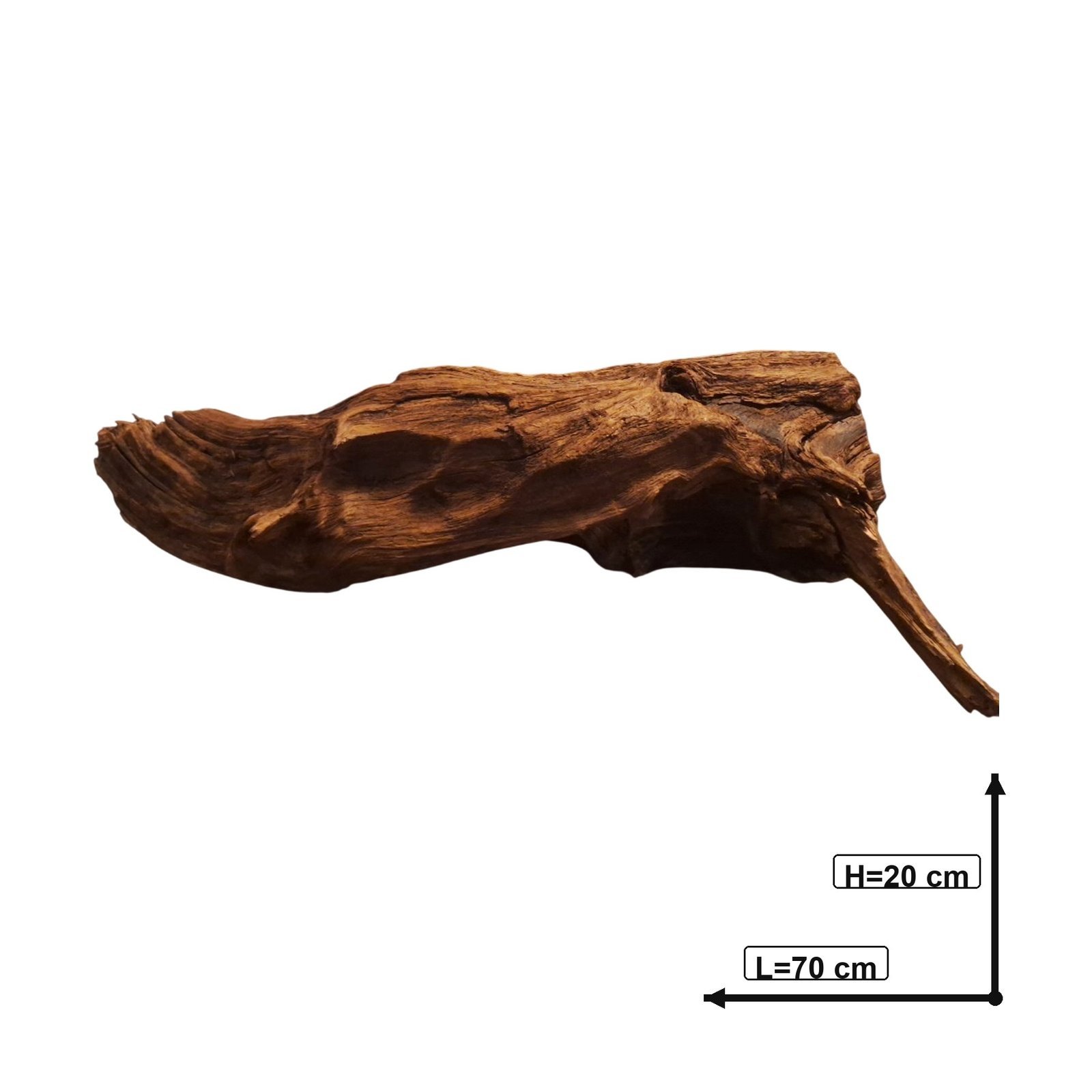 Tuskwood Akvarierot WYSIWYG Äkta Bogwood Unik 70 cm P262621 - Image 3