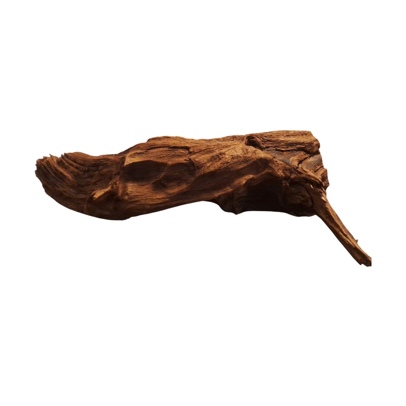 Tuskwood Akvarierot WYSIWYG Äkta Bogwood Unik 70 cm P262621 - Image 6