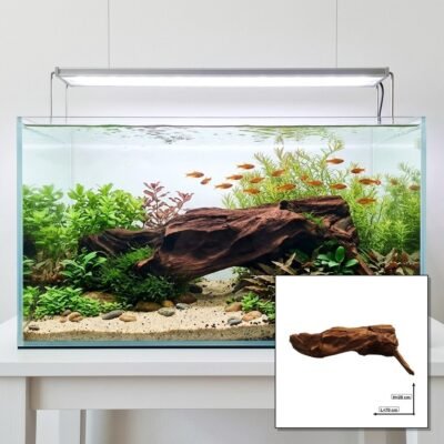 Tuskwood Akvaario Juuri WYSIWYG Aito Bogwood Unique 70 cm P262621