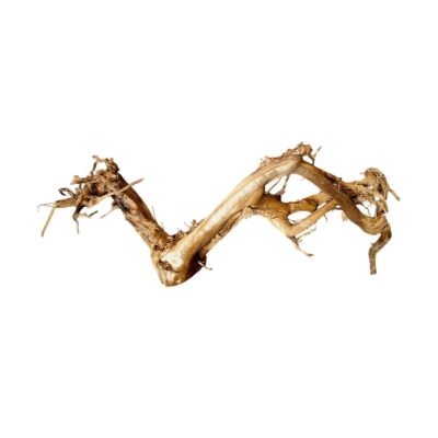Frilagd Tuskwood akvarierot WYSIWYG äkta bogwood 63 cm P272619 mot vit bakgrund