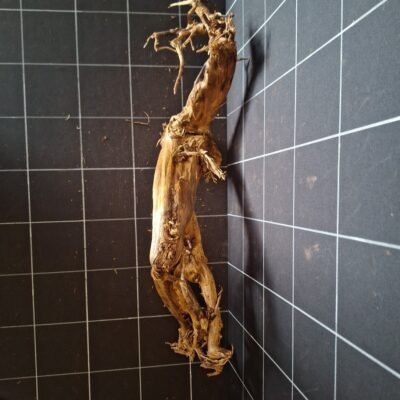 Tuskwood akvarierot äkta bogwood 63 cm P272619 sedd ovanifrån