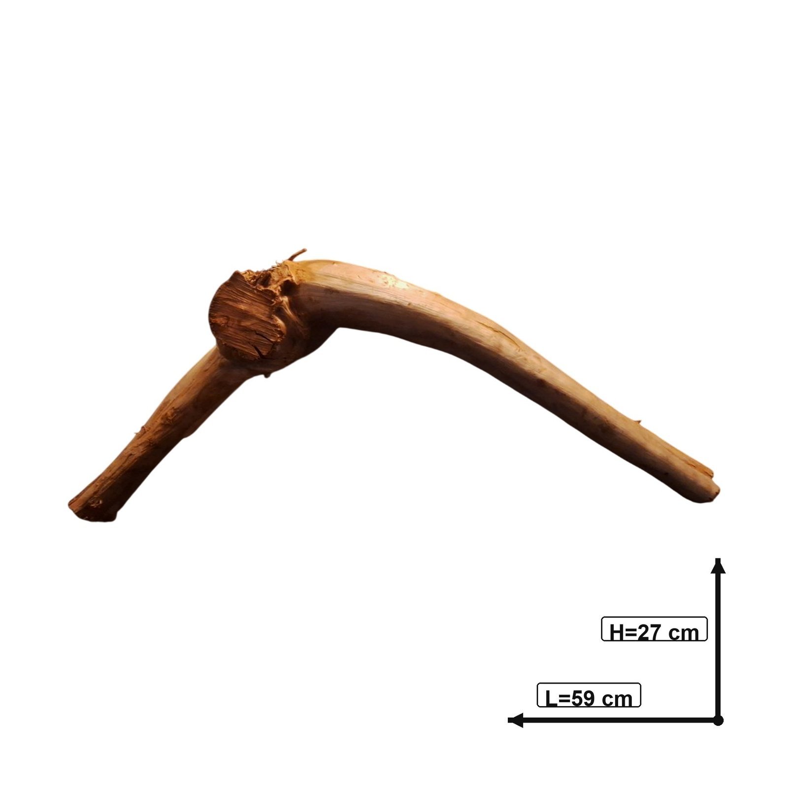 Tuskwood Akvarierot WYSIWYG Äkta Bogwood Unik 59 cm P272621 - Kuva 3