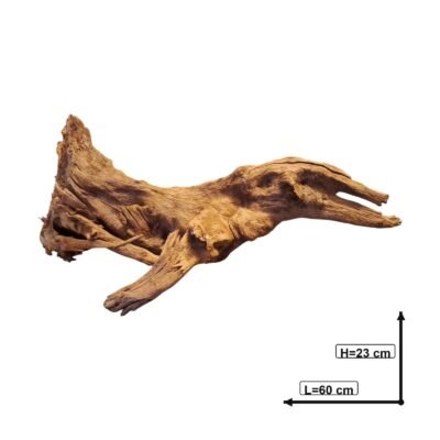 Tuskwood korzeń akwariowy z prawdziwego drewna bagiennego, 60 cm, P282618B