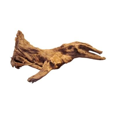 Tuskwood korzeń akwariowy z prawdziwego drewna bagiennego, 60 cm, P282618B