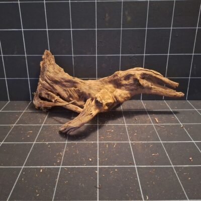 Tuskwood korzeń akwariowy z prawdziwego drewna bagiennego, 60 cm, P282618B