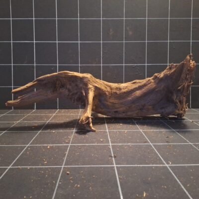 Tuskwood korzeń akwariowy z prawdziwego drewna bagiennego, 60 cm, P282618B