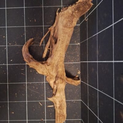 Tuskwood korzeń akwariowy z prawdziwego drewna bagiennego, 60 cm, P282618B