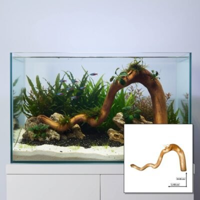 Tuskwood WYSIWYG Moorkienwurzel für Aquarium und Aquascaping 55 cm P282619