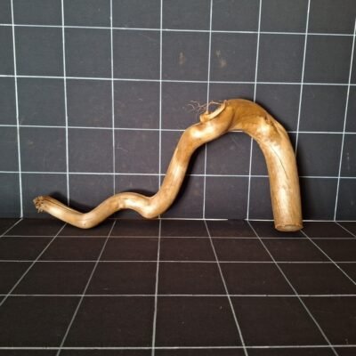 Vorderansicht der Tuskwood Moorkienwurzel für das Aquarium 55 cm P282619