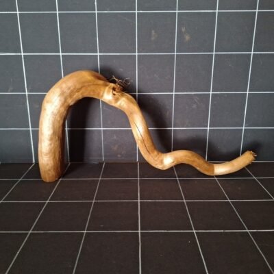 Rückansicht der Tuskwood Moorkienwurzel für das Aquarium 55 cm P282619