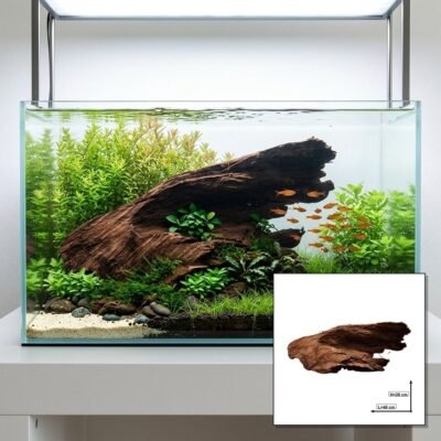 Tuskwood Akvaario Juuri WYSIWYG Aito Bogwood Unique 46 cm P282621