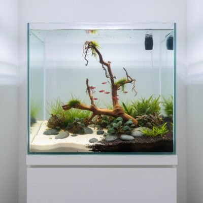 Tuskwood Aquarienwurzel aus echtem Moorholz, 56 cm, P292618