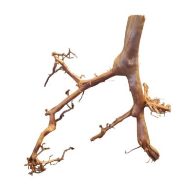 Tuskwood Aquarienwurzel aus echtem Moorholz, 56 cm, P292618