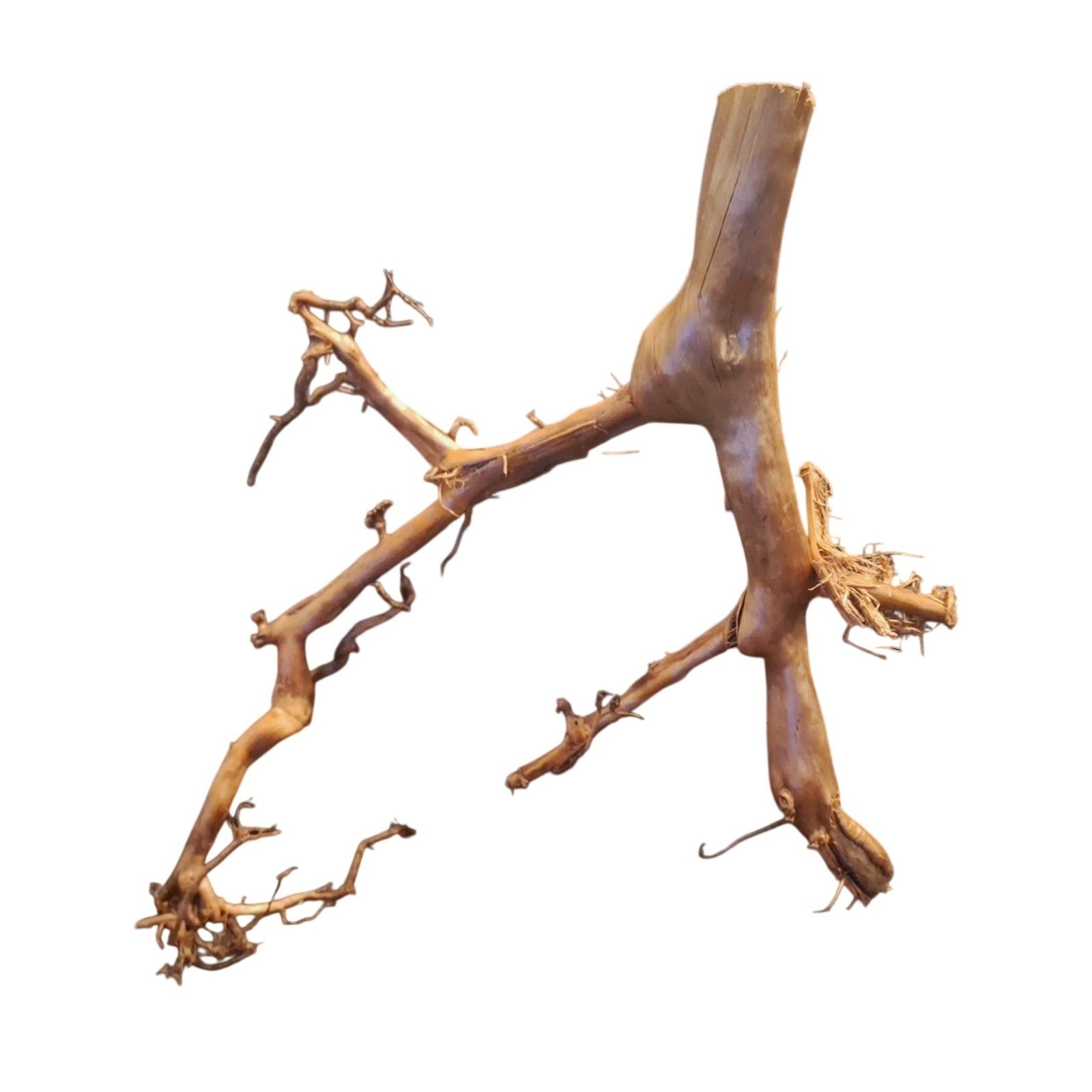 Tuskwood Aquarienwurzel aus echtem Moorholz, 56 cm, P292618