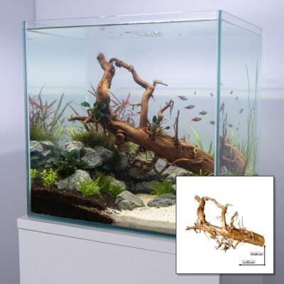 Tuskwood WYSIWYG Moorkienwurzel für Aquarium und Aquascaping 52 cm P292619