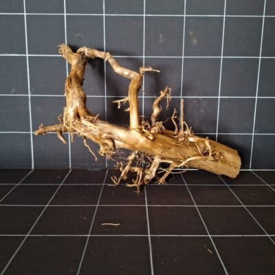 Vorderansicht der Tuskwood Moorkienwurzel für das Aquarium 52 cm P292619