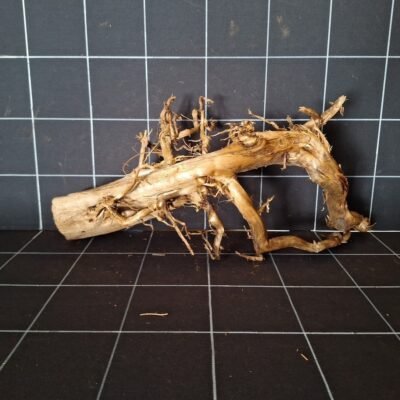 Tuskwood WYSIWYG Moorkienwurzel für Aquarium und Aquascaping 52 cm P292619