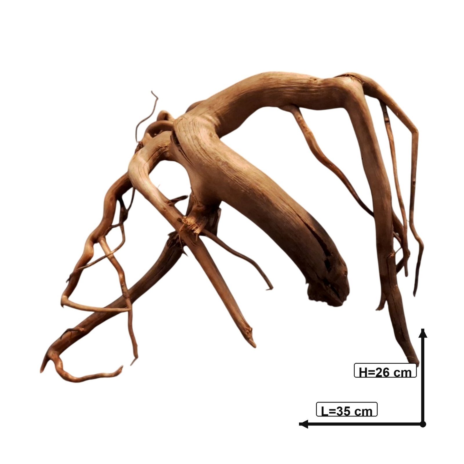 Tuskwood Akvarierot WYSIWYG Äkta Bogwood Unik 35 cm P292620 – Bild 4