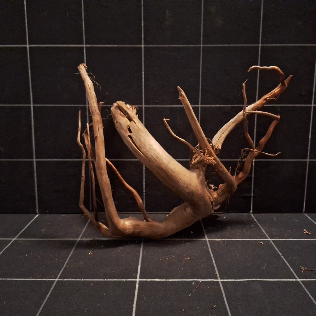 Tuskwood Akvarierot WYSIWYG Äkta Bogwood Unik 35 cm P292620 – Bild 7