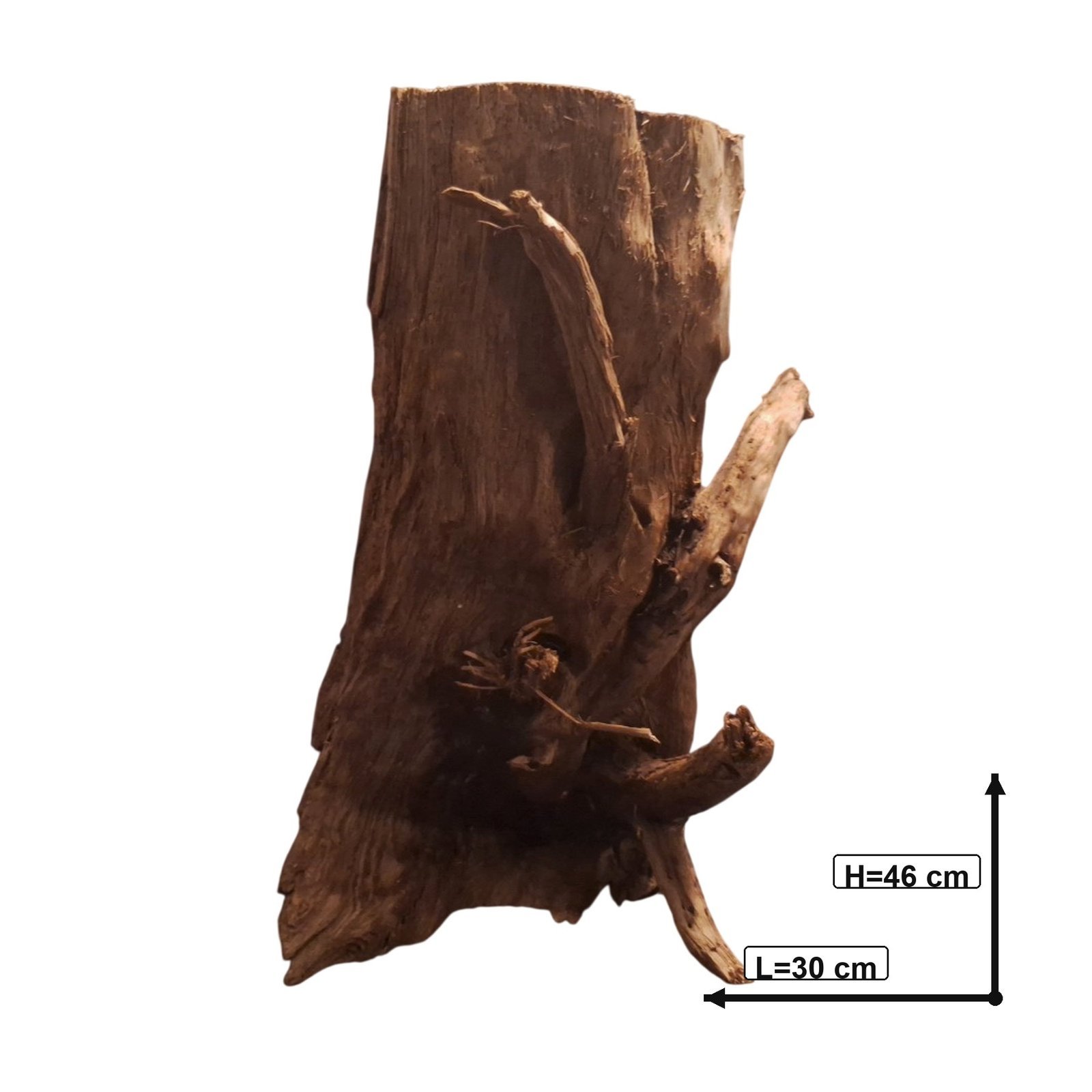 Tuskwood Akvarierot WYSIWYG Äkta Bogwood Unik 46 cm P292621 - Bild 3