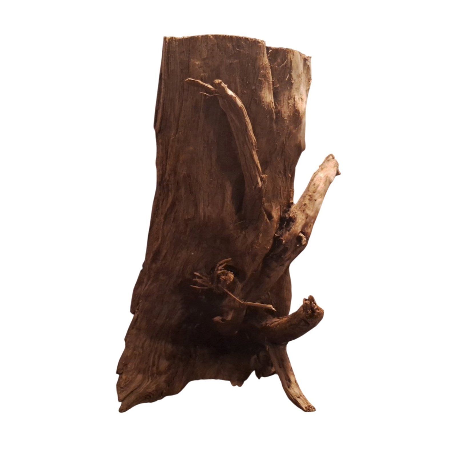 Tuskwood Akvarierot WYSIWYG Äkta Bogwood Unik 46 cm P292621 - Bild 6