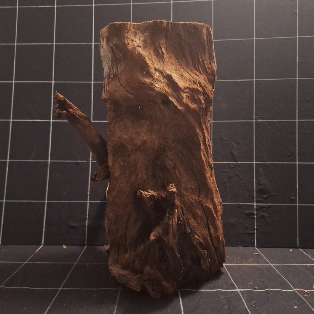 Tuskwood Akvarierot WYSIWYG Äkta Bogwood Unik 46 cm P292621 - Bild 5
