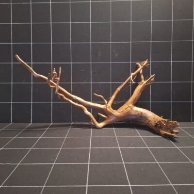 Tuskwood aquarium root in real bogwood, 70 cm, P302618