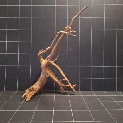 Tuskwood aquarium root in real bogwood, 70 cm, P302618