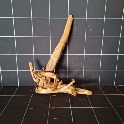 Tuskwood aquariumwortel echt veenhout 39 cm P302619 vooraanzicht