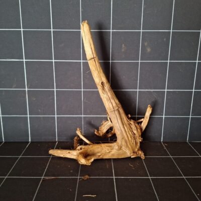 Tuskwood aquariumwortel echt veenhout 39 cm P302619 van achteren gezien
