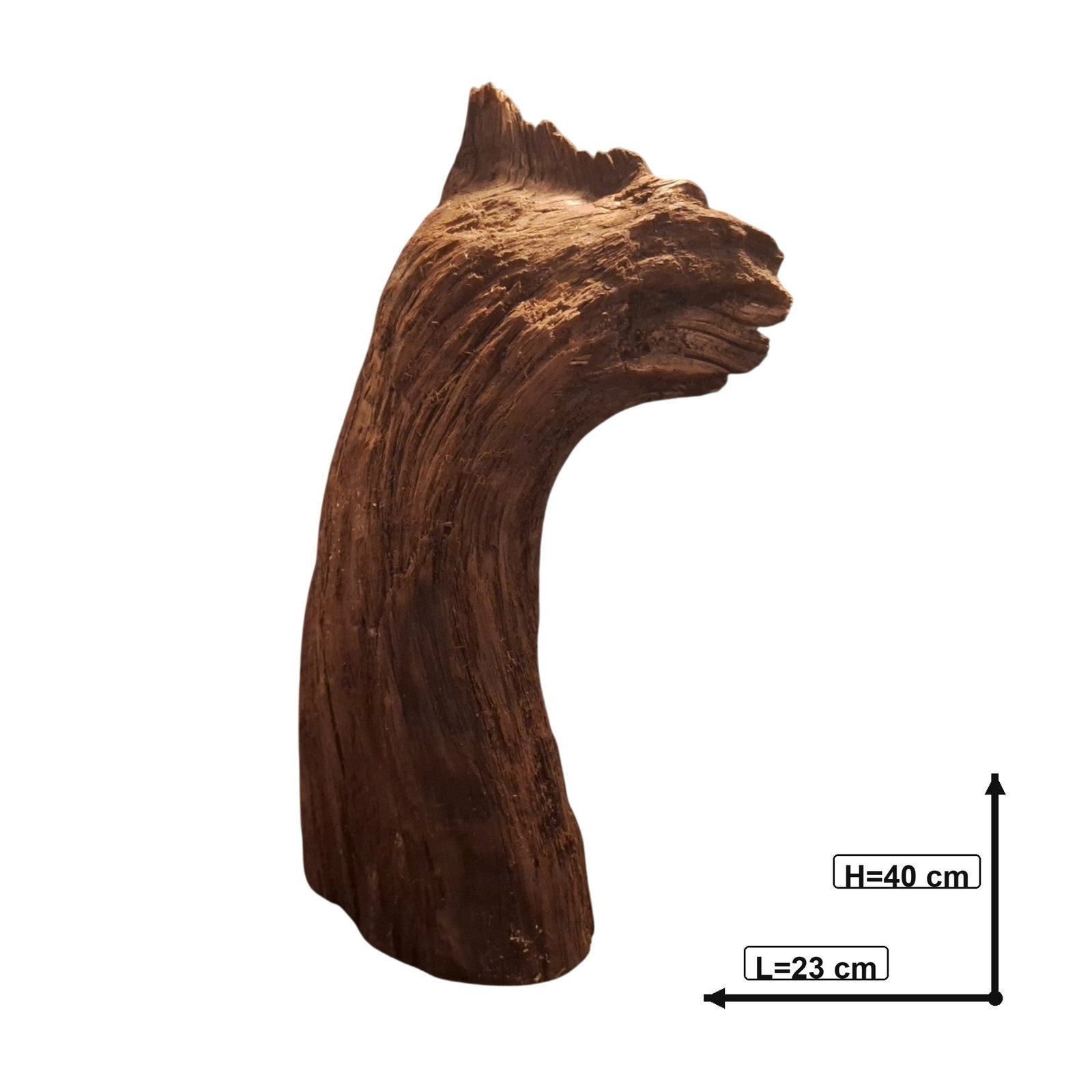 Tuskwood Akvarierot WYSIWYG Äkta Bogwood Unik 40 cm P302621 - Kuva 3