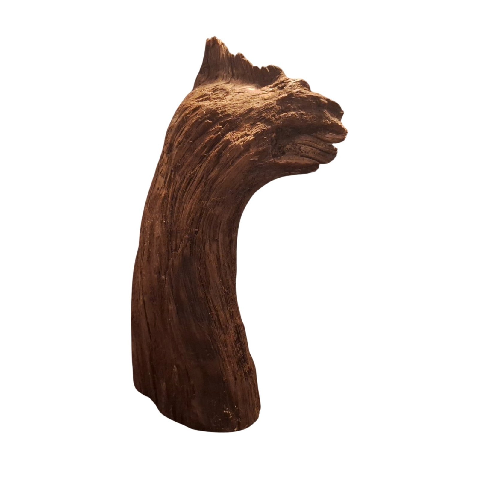 Tuskwood Akvarierot WYSIWYG Äkta Bogwood Unik 40 cm P302621 - Kuva 8