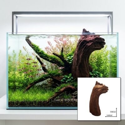 Tuskwood Korzeń akwariowy WYSIWYG Genuine Bogwood Unique 40 cm P302621