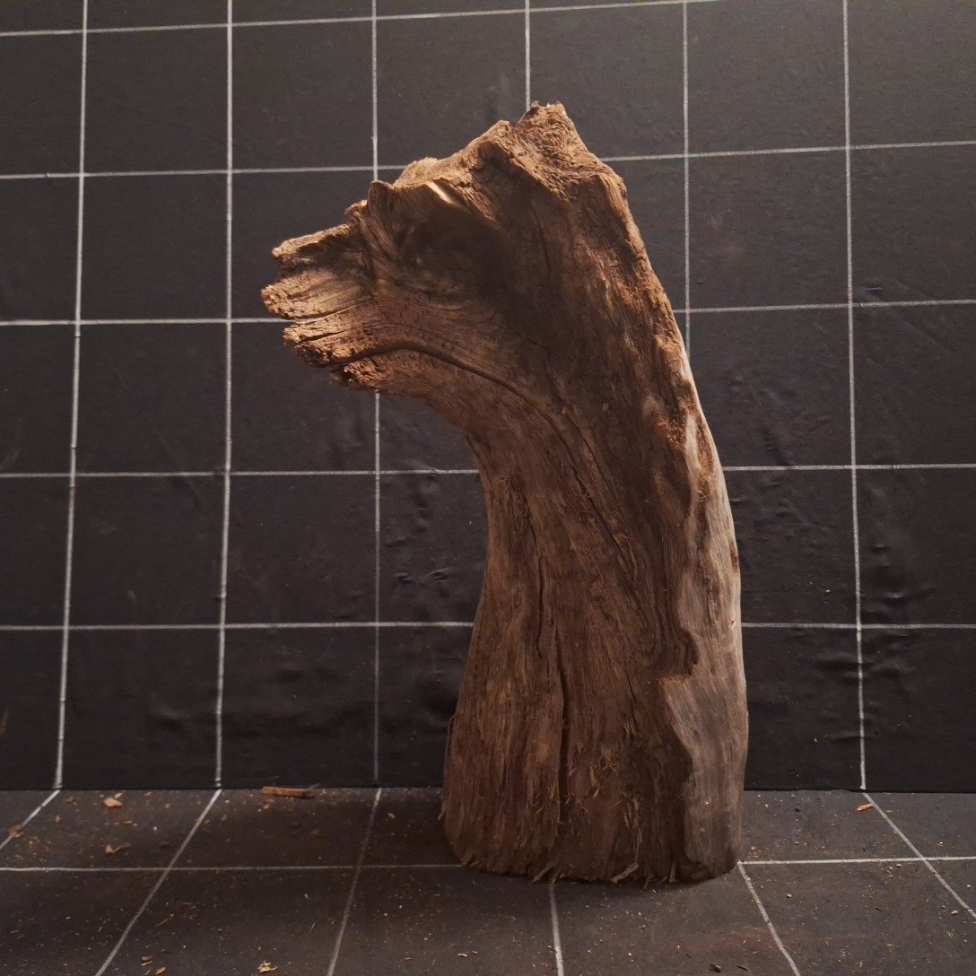 Tuskwood Akvarierot WYSIWYG Äkta Bogwood Unik 40 cm P302621 - Kuva 5