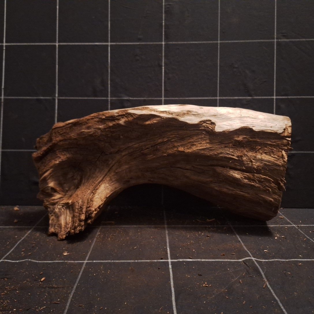 Tuskwood Akvarierot WYSIWYG Äkta Bogwood Unik 40 cm P302621 - Kuva 7