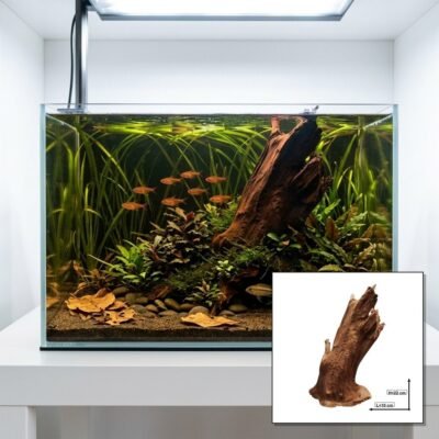 Tuskwood Korzeń akwariowy WYSIWYG Genuine Bogwood Unique 22 cm P312621