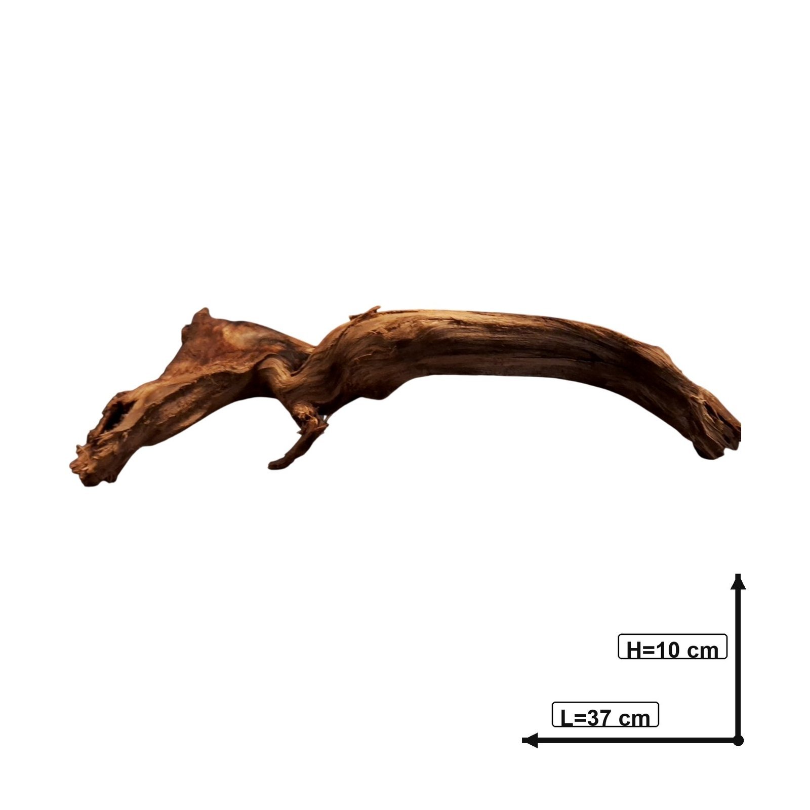 Tuskwood Akvarierot WYSIWYG Äkta Bogwood Unik 37 cm P322620 - Billede 3