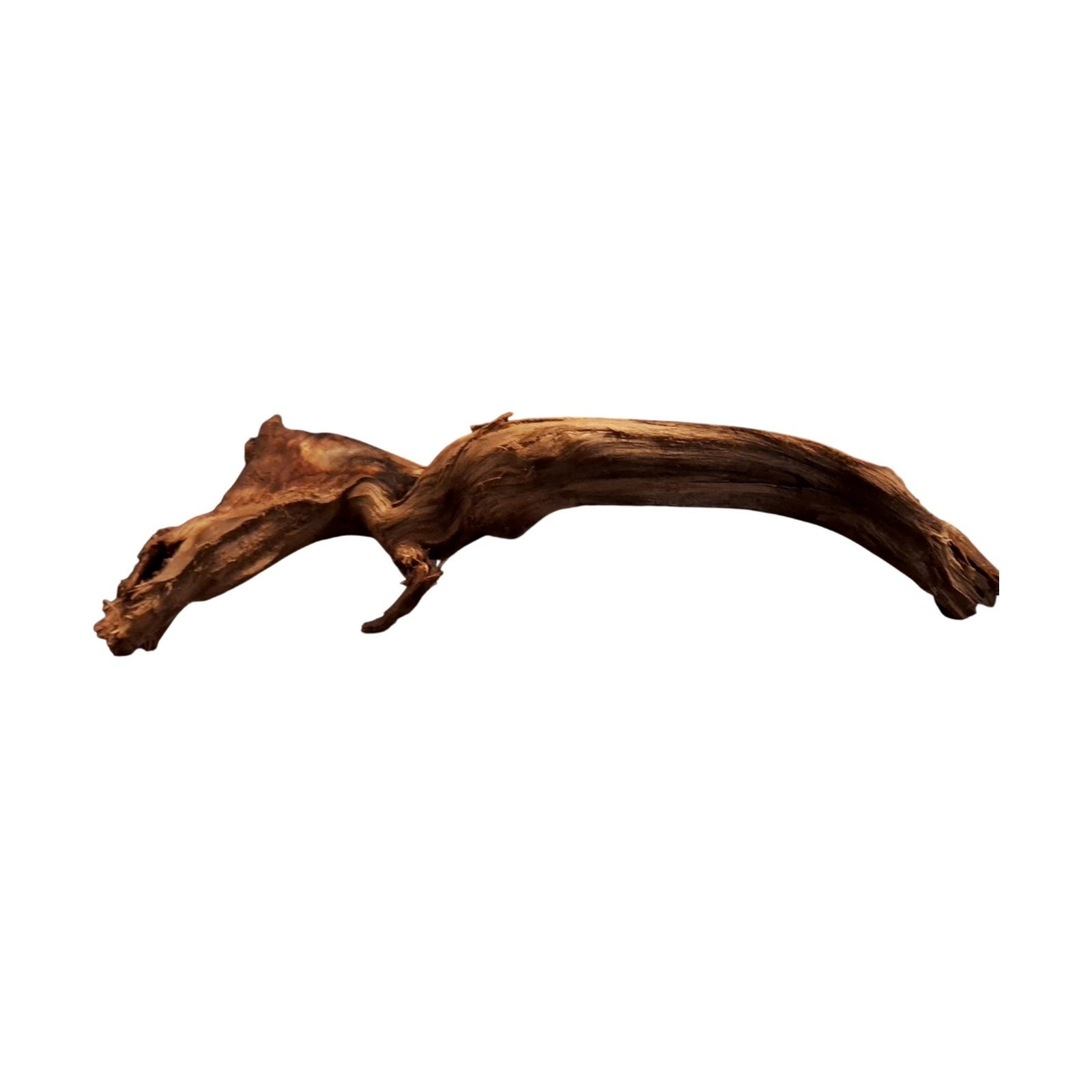 Tuskwood Akvarierot WYSIWYG Äkta Bogwood Unik 37 cm P322620 - Billede 6