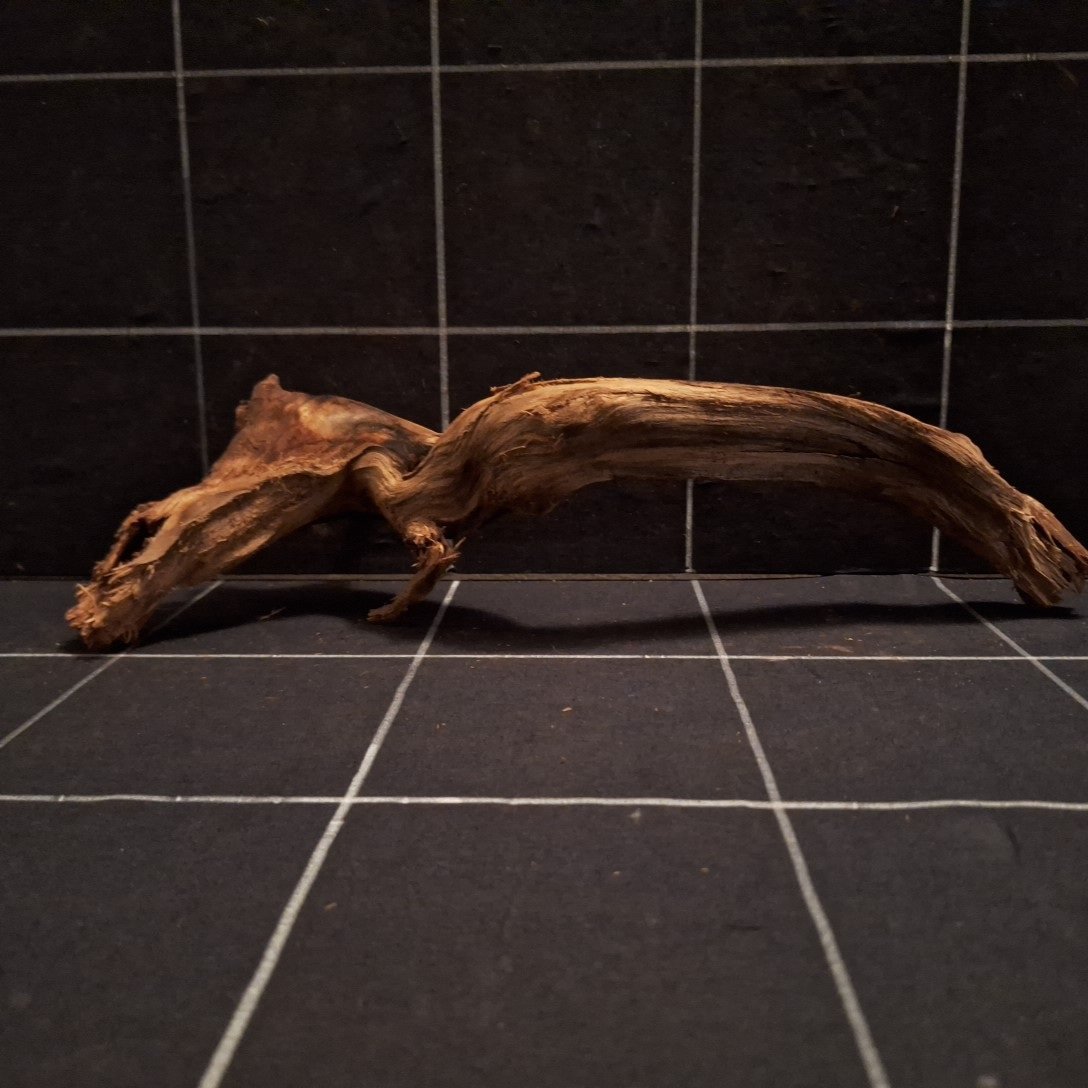 Tuskwood Akvarierot WYSIWYG Äkta Bogwood Unik 37 cm P322620 - Billede 4