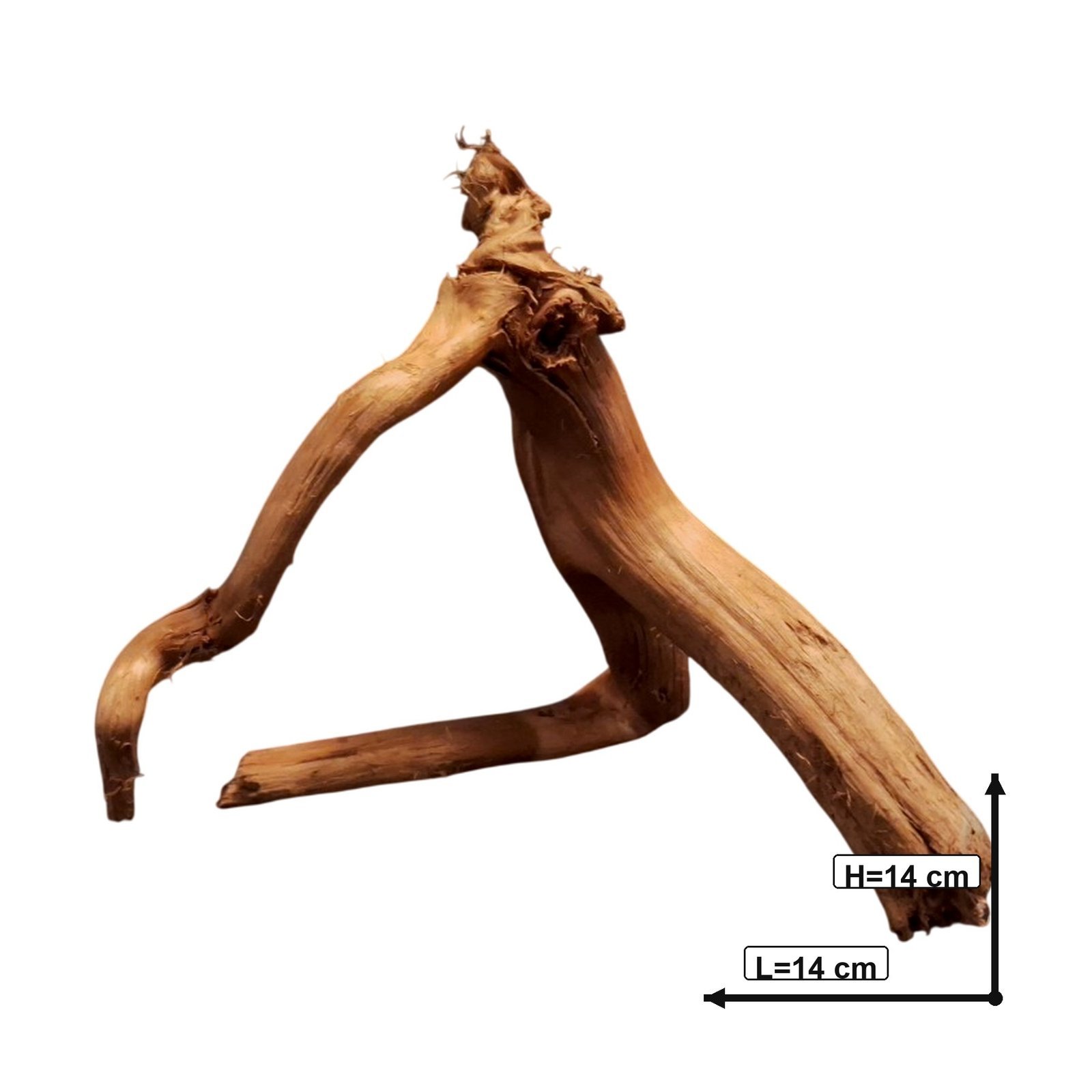 Tuskwood Akvarierot WYSIWYG Äkta Bogwood Unik 14 cm P362620 - Billede 3