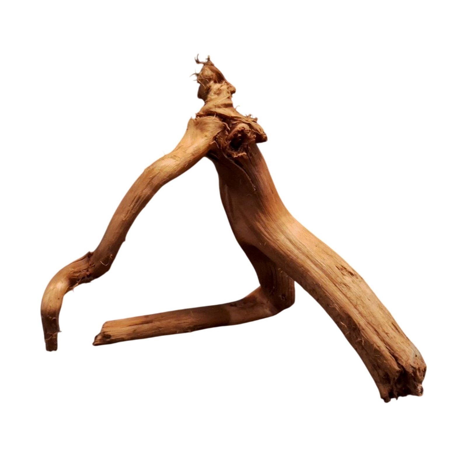Tuskwood Akvarierot WYSIWYG Äkta Bogwood Unik 14 cm P362620 - Billede 6